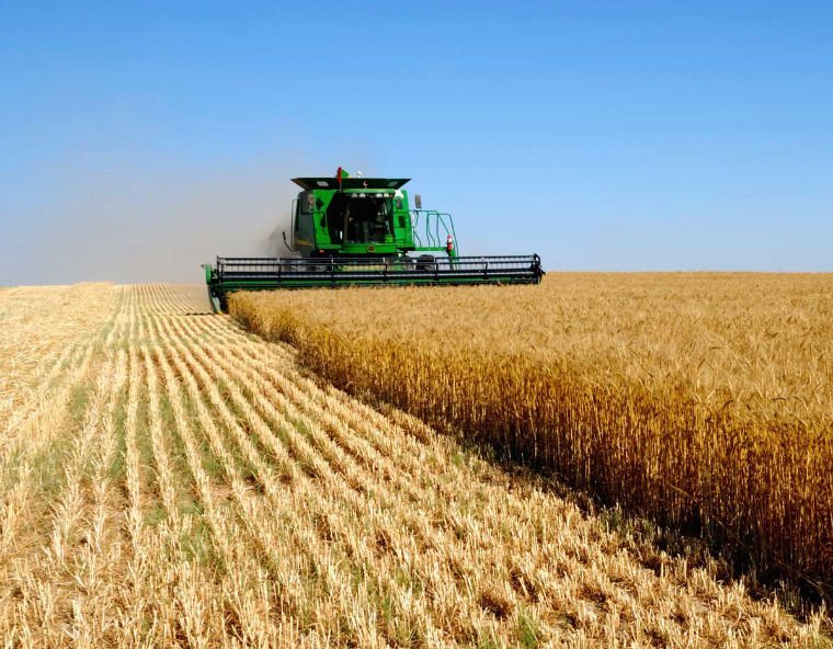 В Украине повысят фиксированный сельхозналог