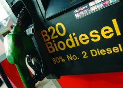 Как биотопливо поможет экономике Украины
