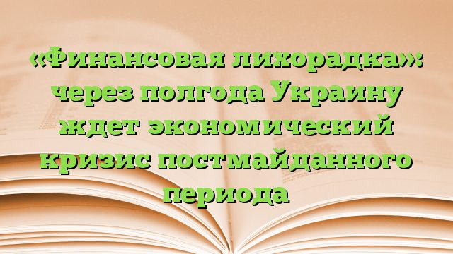 «Финансовая лихорадка»: через полгода Украину ждет экономический кризис постмайданного периода