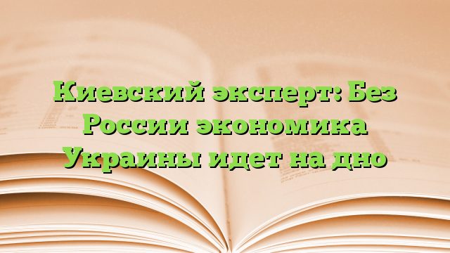 Киевский эксперт: Без России экономика Украины идет на дно