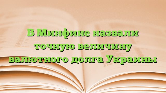 В Минфине назвали точную величину валютного долга Украины