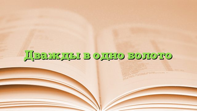 Дважды в одно болото