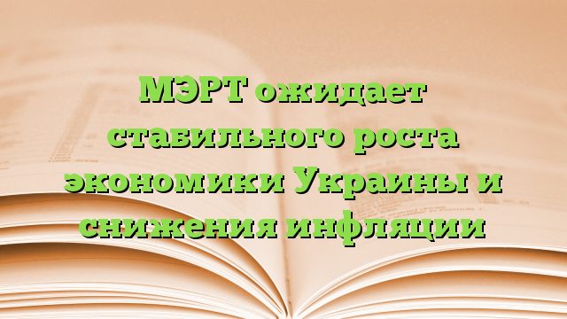 МЭРТ ожидает стабильного роста экономики Украины и снижения инфляции