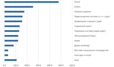 * Включает внебюджетные фонды, как, например, Пенсионный фонд Украины. Источник: Государственное казначейство Украины