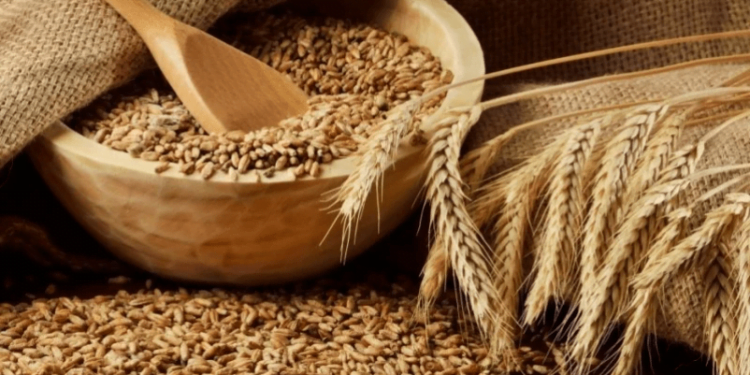 Украина предложила создать «Организацию стран-экспортеров зерновых» — Минфин, Экономические новости