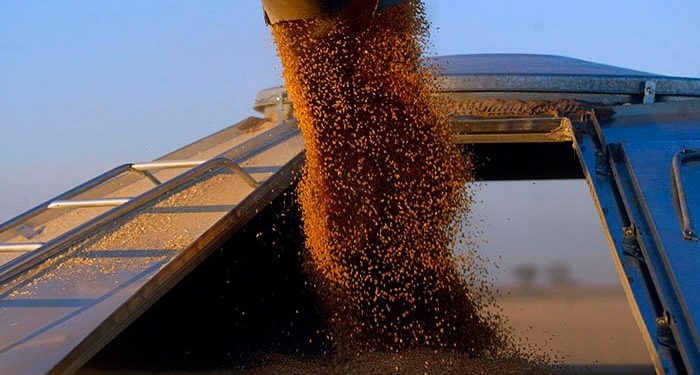 Китай призвал создать «зеленый коридор» для экспорта зерна из Украины и РФ, Экономические новости