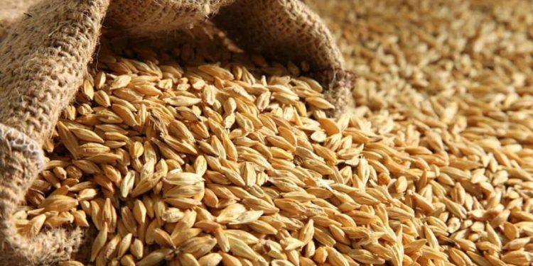Еврокомиссия запустила торговую платформу для оптимизации экспорта зерна из Украины, Экономические новости