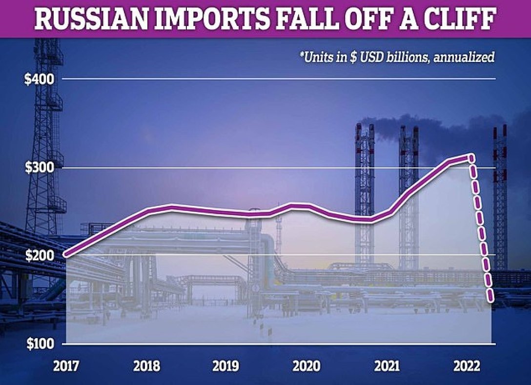 Российский импорт резко упал, Падение российского импорта.