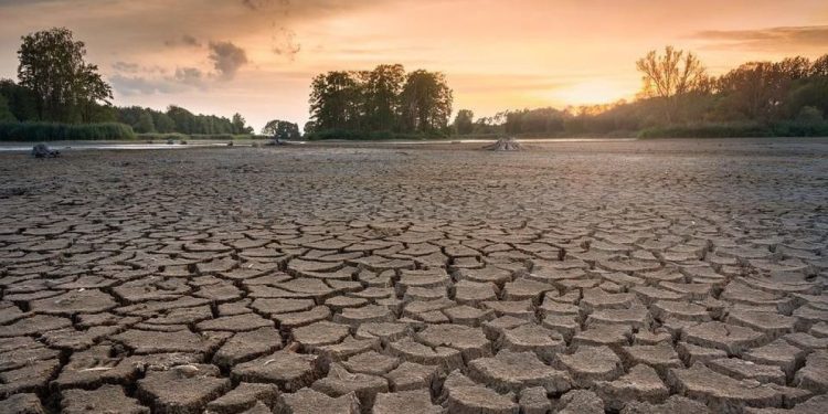 Мир на пороге кризиса: как рекордная засуха в Европе ударит по мировой экономике