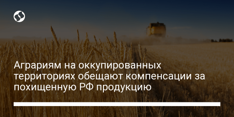 Аграриям на оккупированных территориях обещают компенсации за похищенную РФ продукцию, Экономические новости