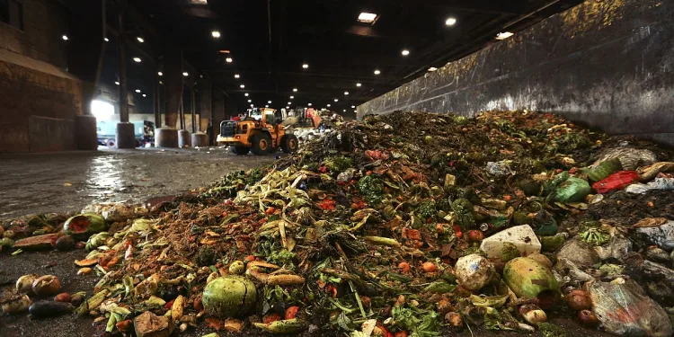 В мире отправляется в мусор почти пятая часть произведенного продовольствия